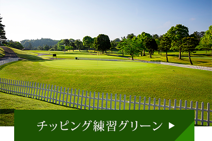 チッピング練習グリーン